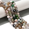 Dyed & Heated Natural Fire Crackle Agate Beads Strands G-P539-B01-20-2