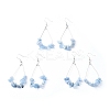 Dangle Earrings EJEW-E255-B06-2