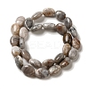 Natural Crazy Lace Agate Beads Strands G-G102-B01-01-3