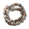Natural Crazy Lace Agate Beads Strands G-G102-B01-01-3