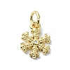 Brass Micro Pave Clear Cubic Zirconia Charms LS-KK-H475-55G-01-1