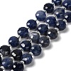 Natural Sodalite Beads Strands G-B153-A11-2