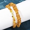 Natural Amber Chip Beaded Necklaces NJEW-L466-03B-3