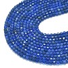Natural Blue Agate(Dyed & Heated) Beads Strands G-A260-A12-01-3