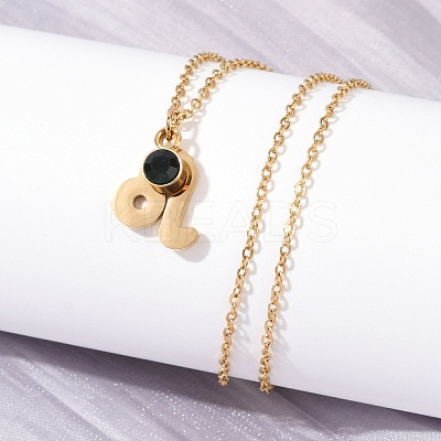 304 Stainless Steel Glass Drill Birth Stone Constellation Pendant Necklaces LS-STAS-D305-08G-E-1