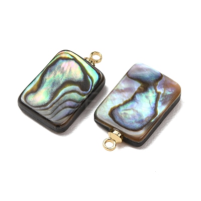 Natural Abalone Shell Pendants SH-CJC0AC7-01H-G-1