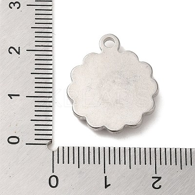 Non-Tarnish 304 Stainless Steel Pendants STAS-R223-13-1