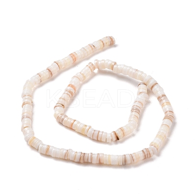 Natural Freshwater Shell Beads Strands X-SHEL-G011-09-A02-1