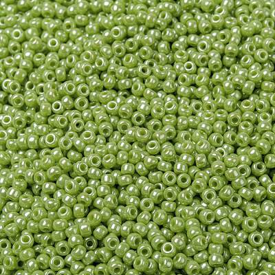 MIYUKI Round Rocailles Beads SEED-JP0009-RR0439-1