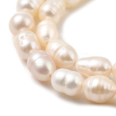 Natural Cultured Freshwater Pearl Beads Strands PEAR-I007-01Q-01B-1