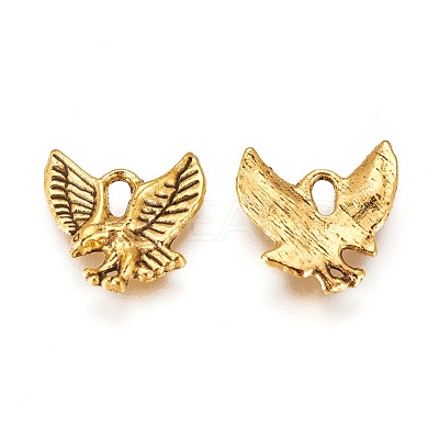 Tibetan Style Alloy Pendants TIBEP-20305-AG-NR-1