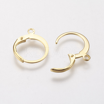 304 Stainless Steel Leverback Earring Findings LS-X-STAS-F141-02G-1