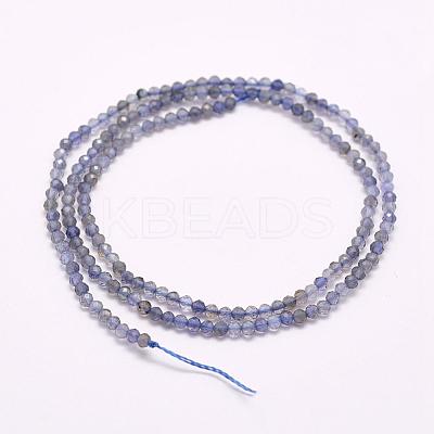 Natural Cordierite/Iolite/Dichroite Beads Strands G-F509-15-2mm-1