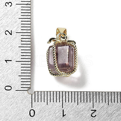 Natural Amethyst Gift Box Charms G-P523-01G-05-1