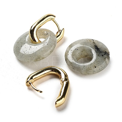 Rack Plating Brass Hoop Earrings EJEW-M248-01G-03-1