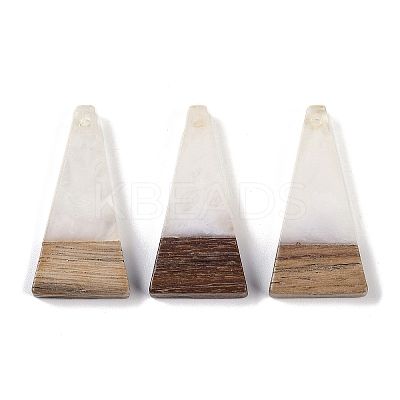 Resin & Wood Pendants WOOD-F015-03H-1