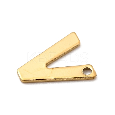 304 Stainless Steel Charms LS-STAS-B093-12G-V-1