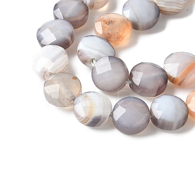 Natural Grey Botswana Agate Beads Strands G-C179-A50-03-1