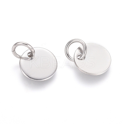 Non-Tarnish 304 Stainless Steel Charms STAS-I124-01C-P-1