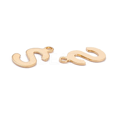 201 Stainless Steel Charms LS-STAS-C021-06G-S-1