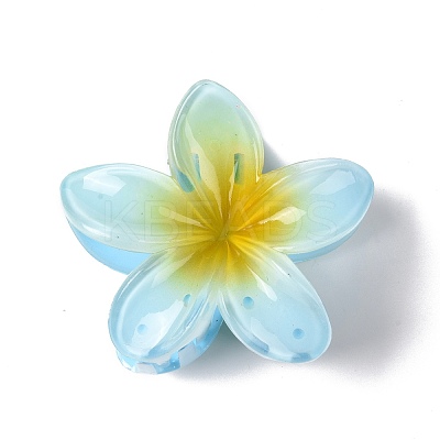 Plastic Claw Hair Clips OHAR-P020-08A-1