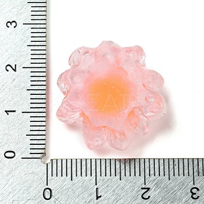 Luminous Transparent Resin Decoden Cabochons LS-CRES-F032-B03-1