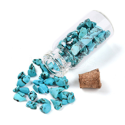 Glass Wishing Bottle Display Decorations AJEW-T013-02F-1