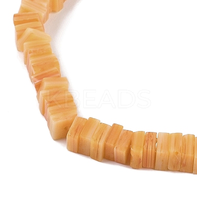 Handmade Lampwork Beads Strands LAMP-Q037-02B-20-1