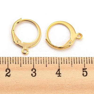 304 Stainless Steel Leverback Earring Findings X-STAS-D448-041G-1
