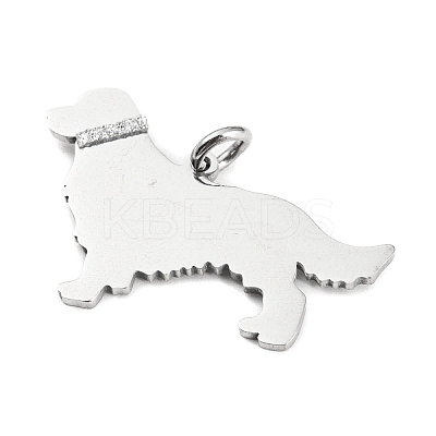 Non-Tarnish 304 Stainless Steel Pendants X-STAS-E205-10P-1