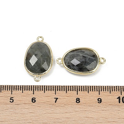 Natural Labradorite Faceted Connector Charms G-K347-11G-06-1
