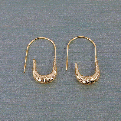 U-shaped Brass Dangle Earrings WD6040-1