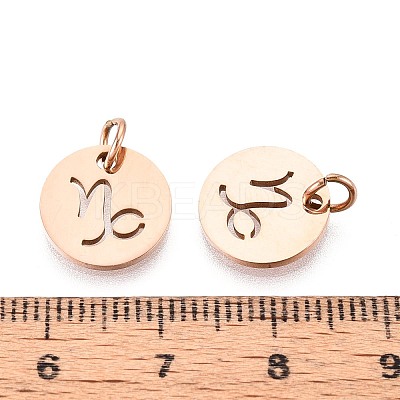 304 Stainless Steel Charms STAS-Q201-T445-10R-1