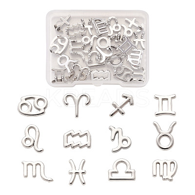 24Pcs 2 Sets Zinc Alloy Jewelry Pendant Accessories FIND-FW0001-08P-1