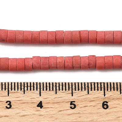 Dyed Synthetic Turquoise Beads Strands G-Z089-A04-P-1