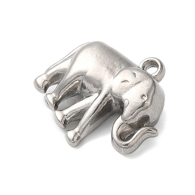 Non-Tarnish 304 Stainless Steel Pendants STAS-N103-19P-1