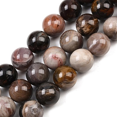 Natural Petrified Wood Beads Strands G-L648-A03-16mm-02-1