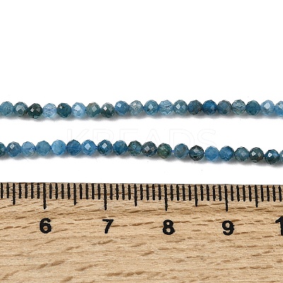 Natural Apatite Beads Strands G-K366-C07-2mm-1