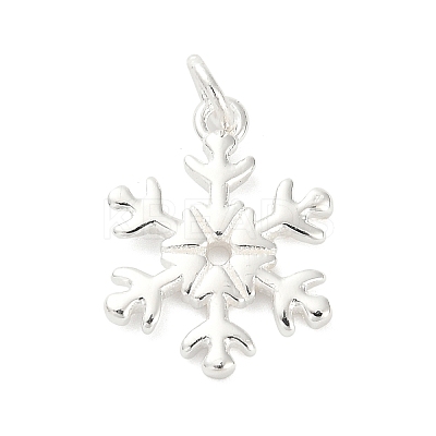 925 Sterling Silver Pendants LS-FIND-Z069-04S-B-1