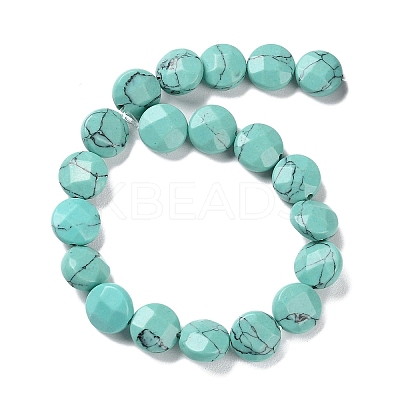 Synthetic Turquoise Beads Strands G-K357-B07-01-1