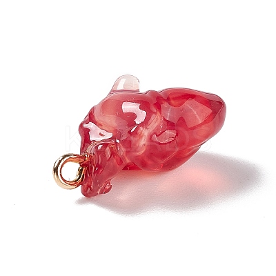 Transparent Resin Pendants RESI-E028-01G-03-1