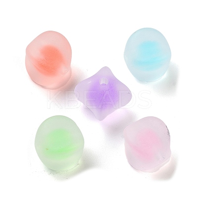 Transparent Acrylic Beads OACR-A032-06-1