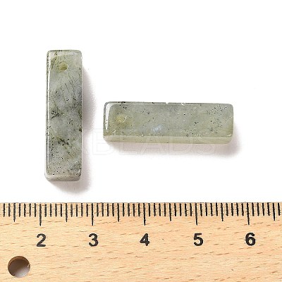 Natural Labradorite Pendants G-L593-01C-1