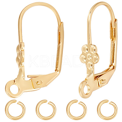 20Pcs 304 Stainless Steel Leverback Earring Findings STAS-BBC0003-91-1