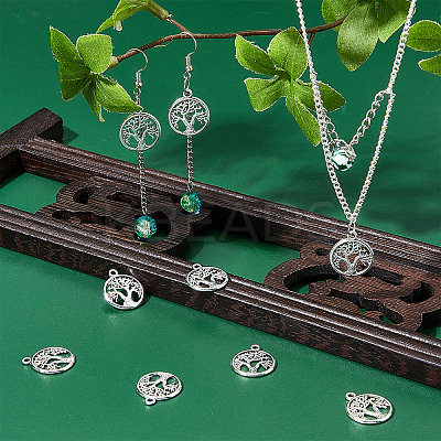 Tibetan Style Alloy Pendants FIND-SC0002-86-1