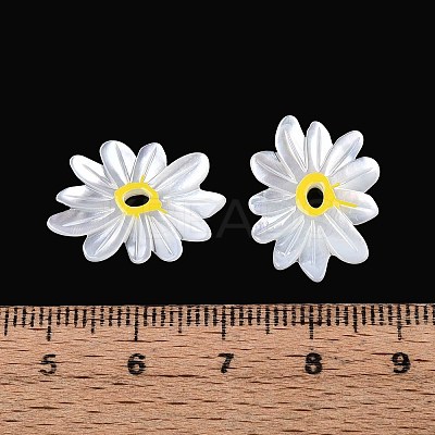 Natural White Shell Pendants SHEL-T020-66-1