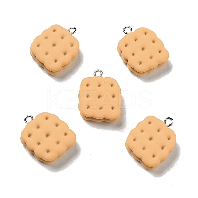 Opaque Resin Pendants X-RESI-G043-D02-A-1