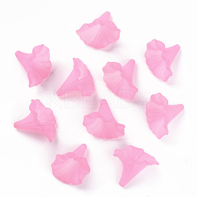 Transparent Acrylic Beads X-BSF796-C10-1