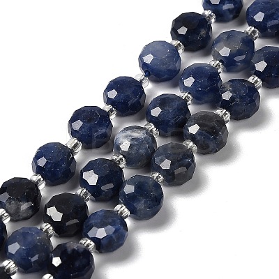 Natural Sodalite Beads Strands G-B153-A11-1