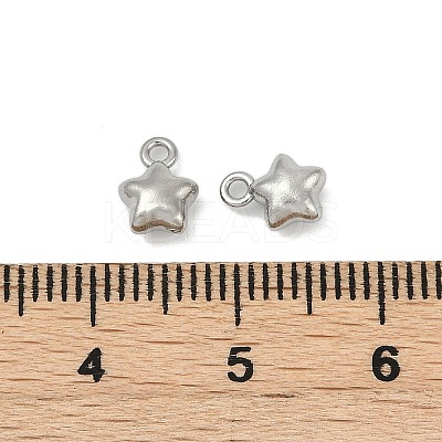 304 Stainless Steel Charms LS-X-STAS-E500-04P-1